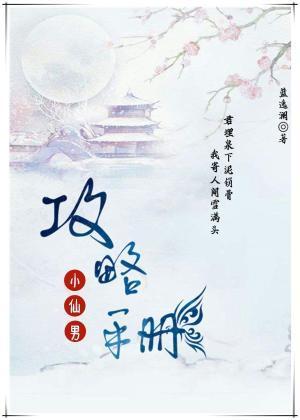 小仙男攻略手册封面