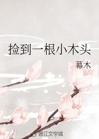 捡到一根小木头封面
