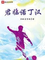 君临诺丁汉封面