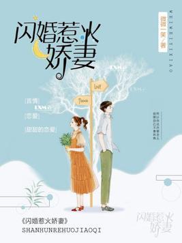 纯禽总裁，闪婚娇妻太惹火封面