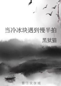 当冷冰块遇到慢半拍封面