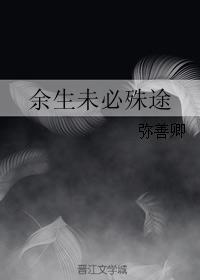 余生未必殊途封面
