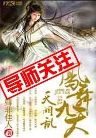 天阙乱，凤舞九天封面