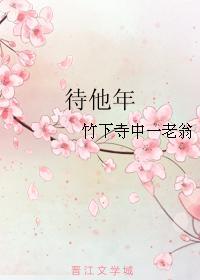 待他年封面