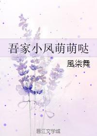 吾家小凤萌萌哒封面