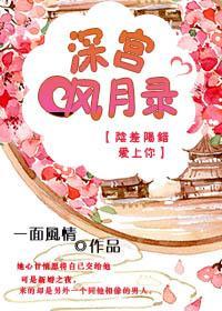 深宫风月录封面