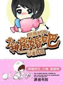 网婚时代：大神，离婚吧封面
