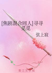 [焦剧混合同人]寻寻觅觅封面
