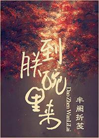 到朕碗里来封面