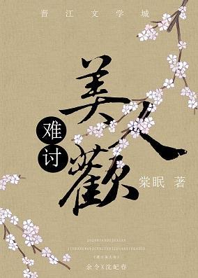 难讨美人欢封面