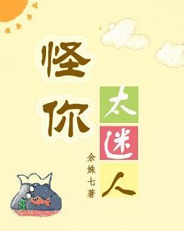 怪你太迷人封面