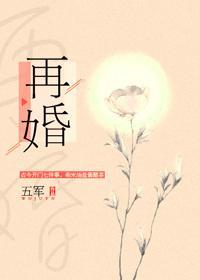 再婚封面