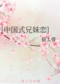 中国式兄妹恋封面