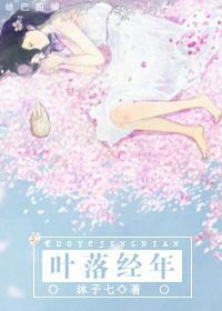 叶落经年封面
