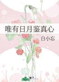 唯有日月鉴真心封面