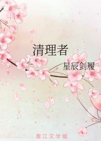 清理者封面