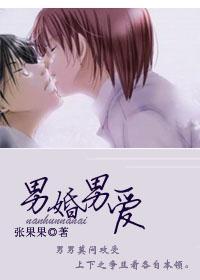 男婚男爱封面