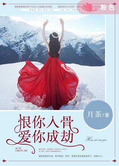 恨你入骨，爱你成劫封面