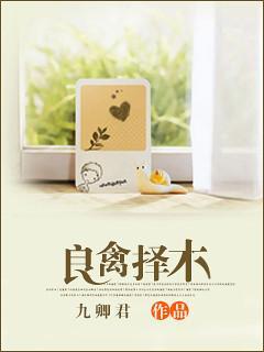 良禽择木封面