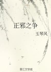 正邪之争封面