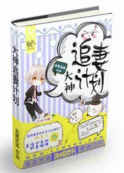 大神追妻计划封面