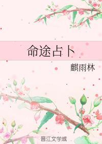 命途占卜封面