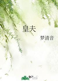 皇夫封面