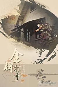 金牌打手封面