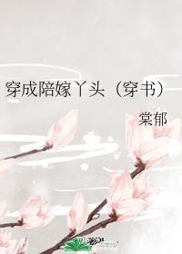 穿成陪嫁丫头（穿书）封面
