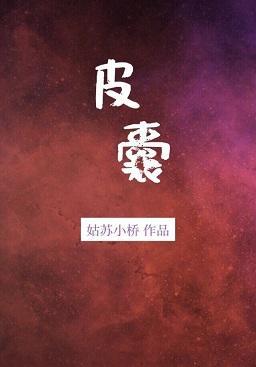 皮囊封面