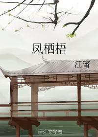 凤栖梧封面