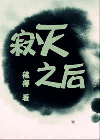 寂灭之后封面