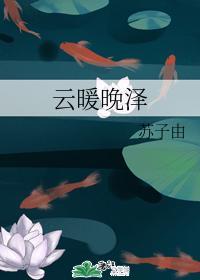 云暖晚泽封面