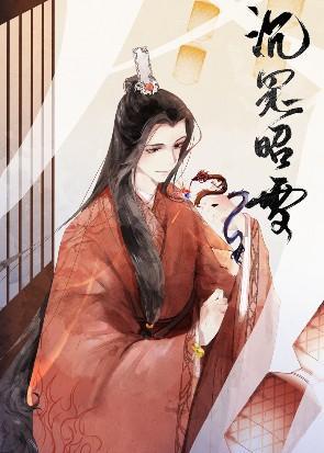 沈冤昭雪之后封面