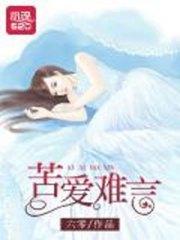 苦爱难言夏晚晴陆正南封面