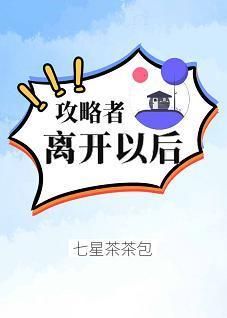 攻略者离开以后封面
