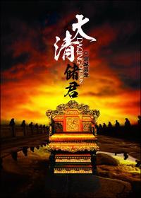 大清储君封面