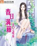 春日满藤封面