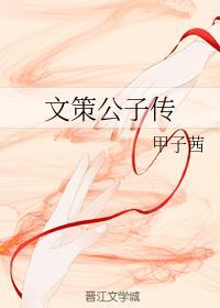 文策公子传封面