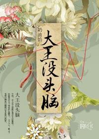 大王没头脑封面