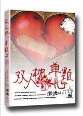 双人枕，单颗心封面