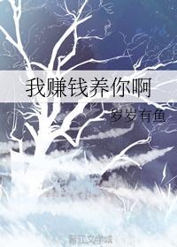 我赚钱养你啊封面