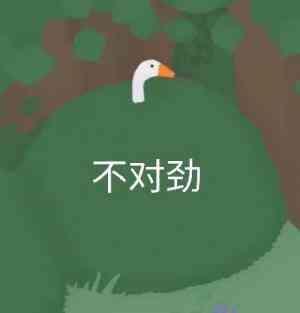 大明咨询所封面