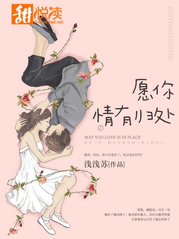 愿你情有归处封面