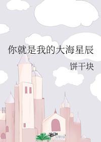 你就是我的大海星辰封面