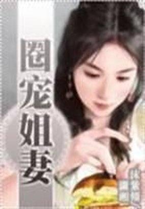 圈宠姐妻封面
