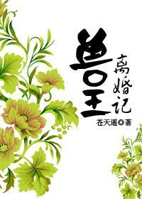 兽王离婚记封面