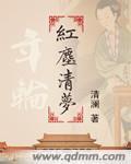 年轮之红尘清梦封面