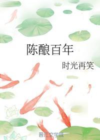 陈酿百年封面