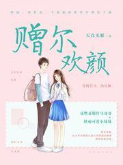 赠尔欢颜封面